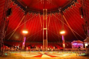 3 lessons from circus PR