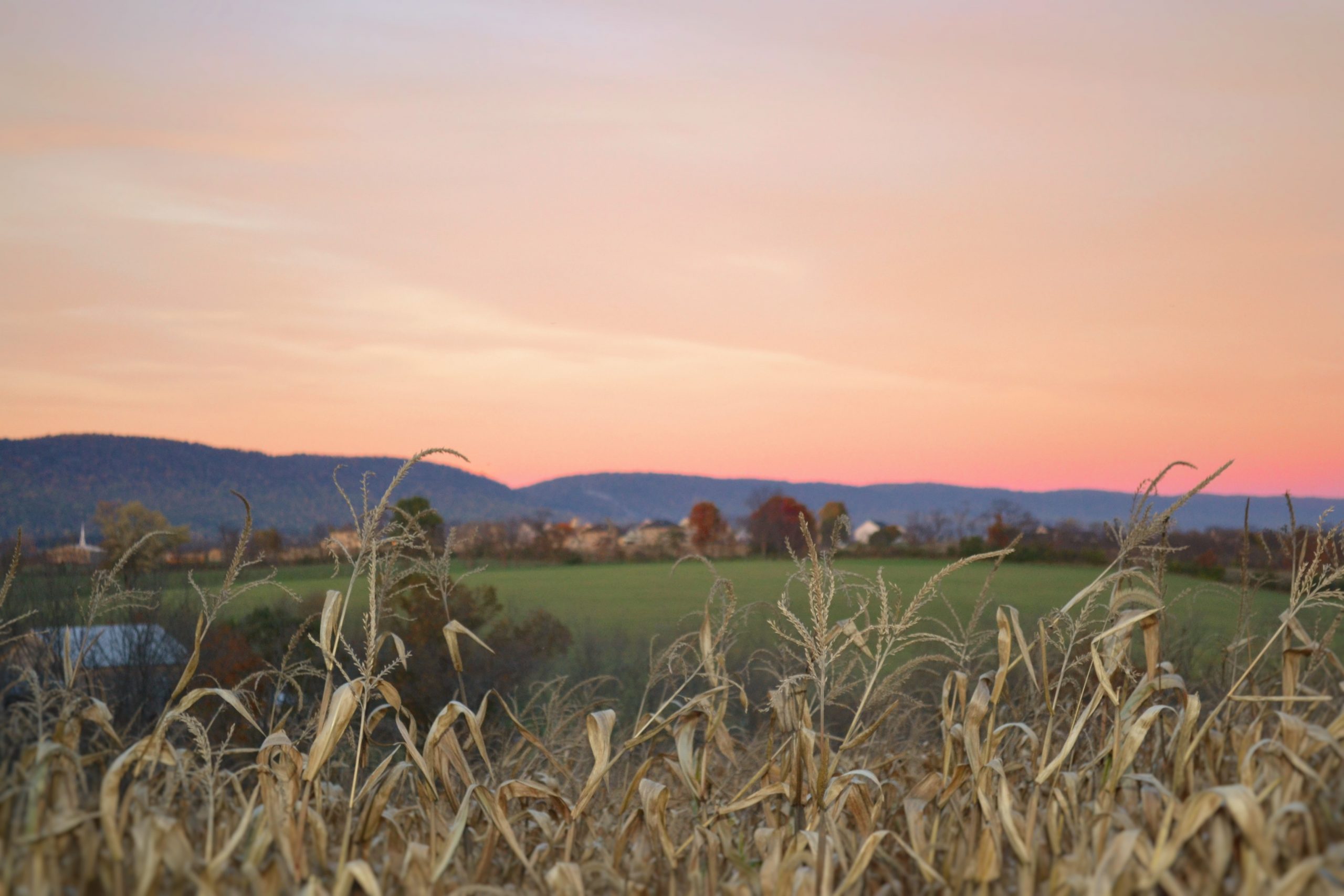 farm-community-rural-mental-health